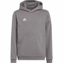 Adidas Entrada 22 Hoody Kids