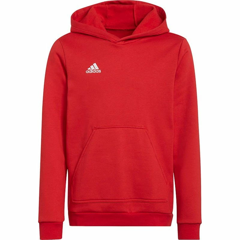 Adidas Entrada 22 Hoody Kids