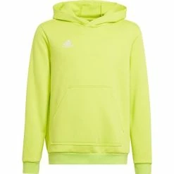 Adidas Entrada 22 Hoody Kids