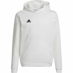 Adidas Entrada 22 Hoody Kids