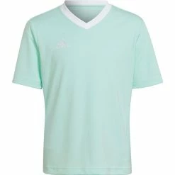 Adidas Entrada 22 Training Shirt Kids